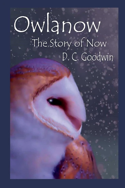 OWLANOW: The Story of Now