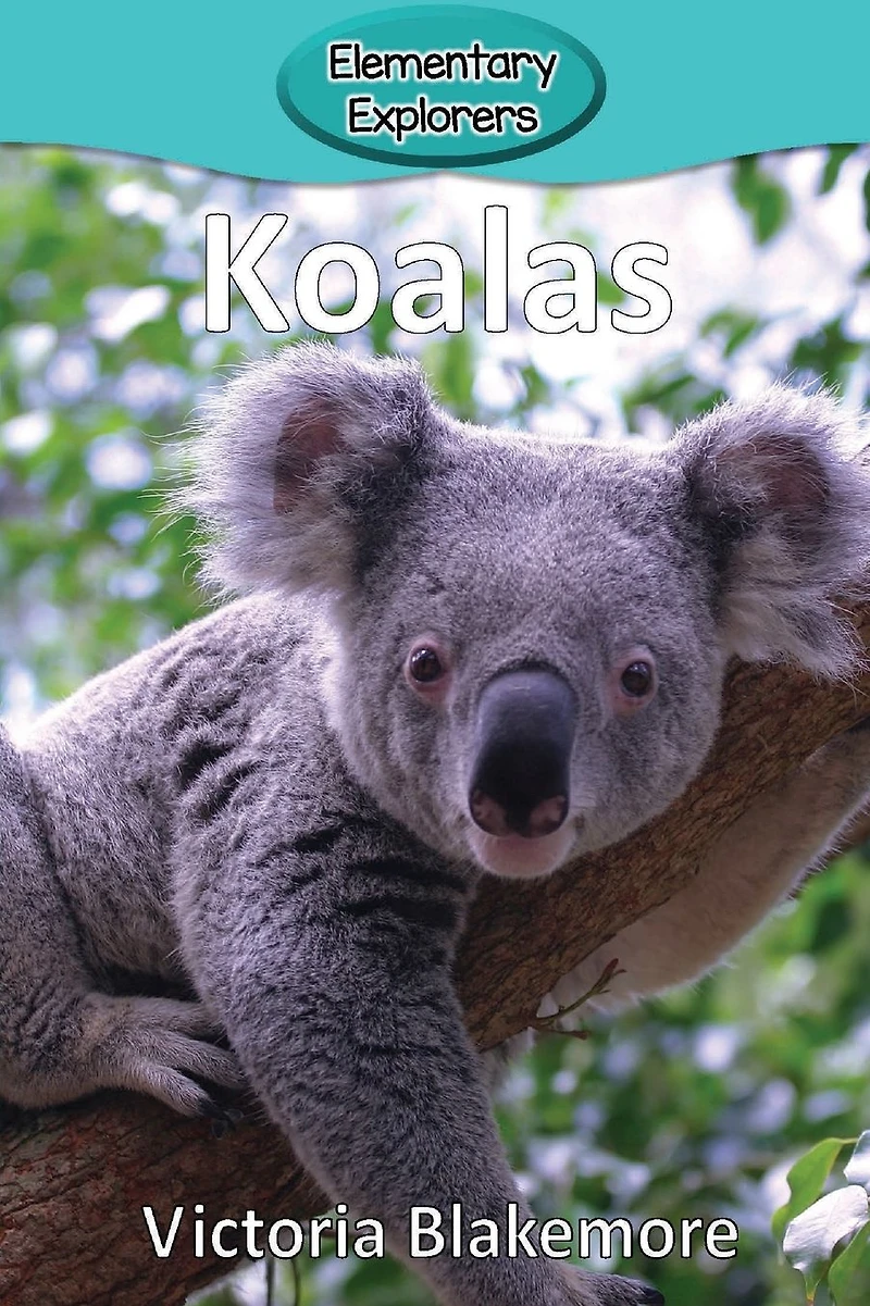 Koalas