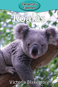 Koalas