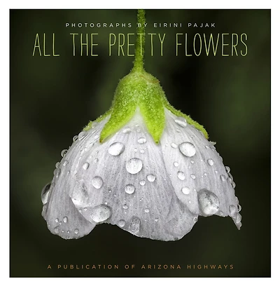 All The Pretty Flowers