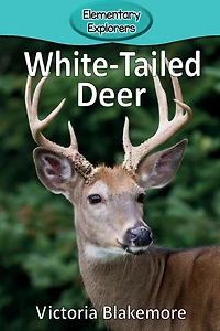 White-Tailed Deer