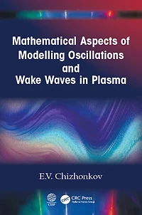 Mathematical Aspects of Modelling Oscillations and Wake Waves Plasma