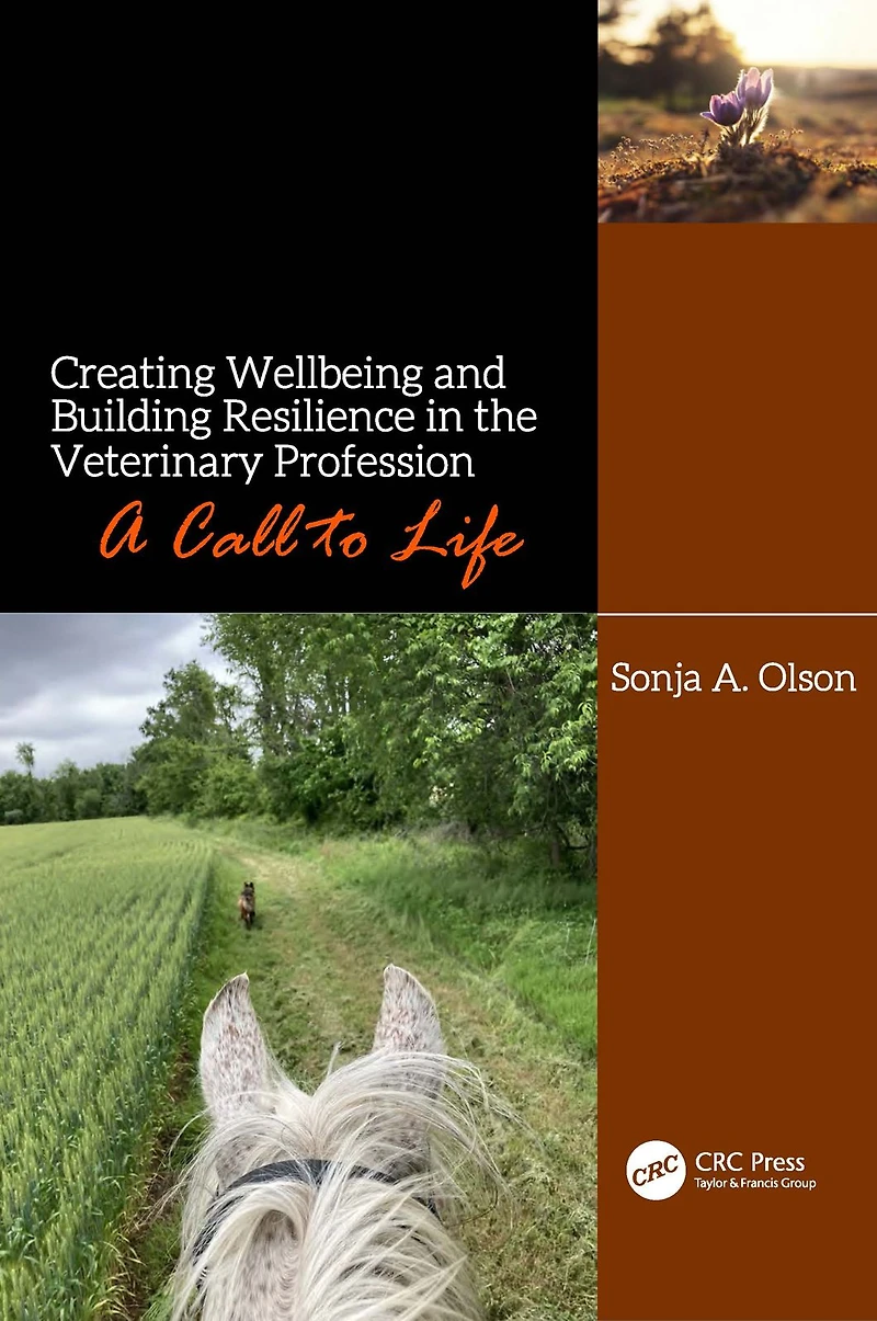 Creating Wellbeing and Building Resilience the Veterinary Profession: A Call to Life