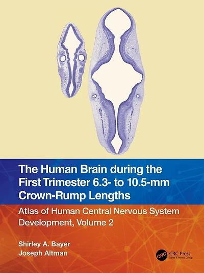 the Human Brain during First Trimester - to -mm Crown-Rump Lengths: Atlas of Central Nervous System Development