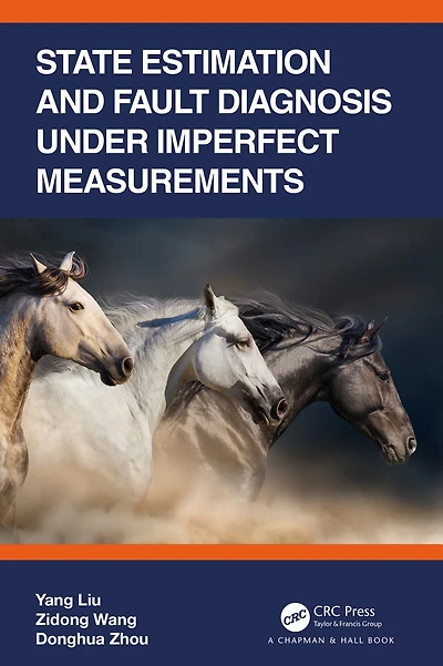 State Estimation and Fault Diagnosis under Imperfect Measurements