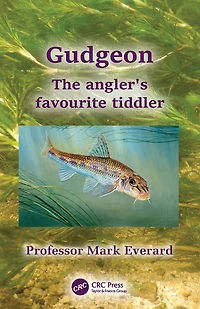 Gudgeon: The angler's favourite tiddler