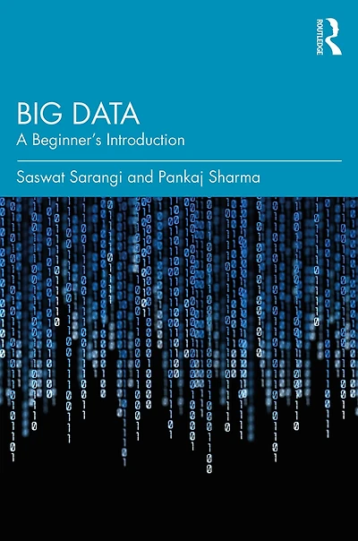 Big Data: A Beginner's Introduction