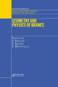 Geometry and Physics of Branes