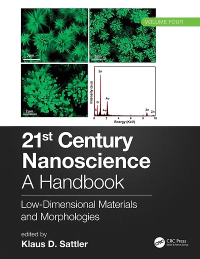 21st Century Nanoscience - A Handbook: Low-Dimensional Materials and Morphologies (Volume Four)