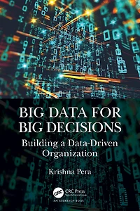Big Data for Decisions: Building a Data-Driven Organization