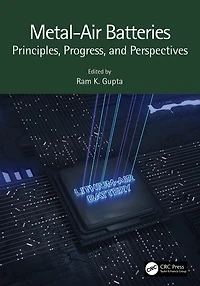 Metal-Air Batteries: Principles, Progress, and Perspectives