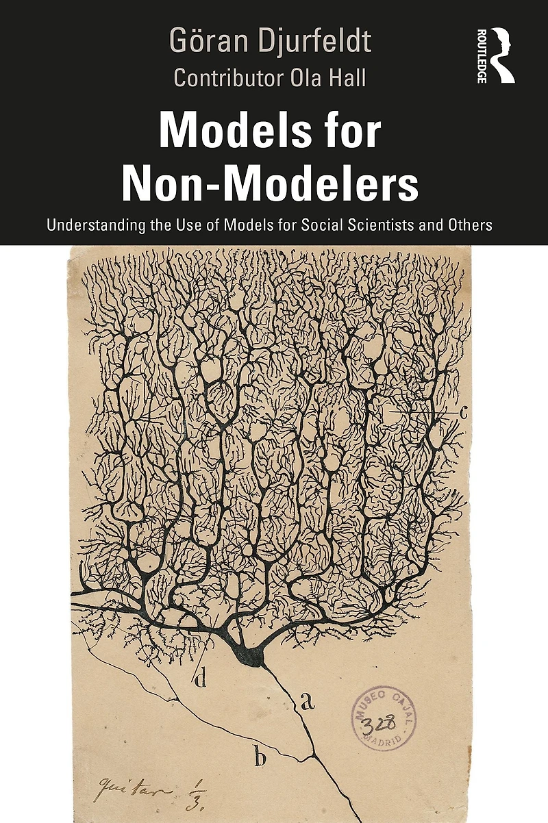 Models for Non-Modelers: Understanding the Use of Social Scientists and Others