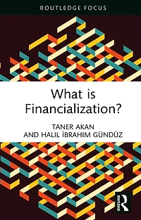 What is Financialization?