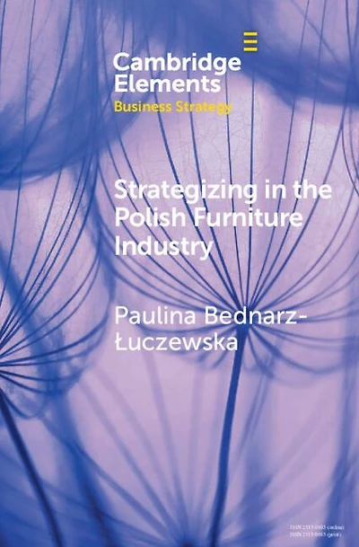 Strategizing the Polish Furniture Industry