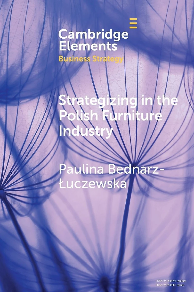 Strategizing the Polish Furniture Industry