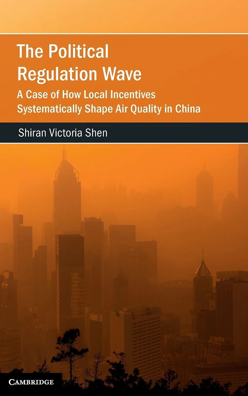 The Political Regulation Wave: A Case of How Local Incentives Systematically Shape Air Quality China
