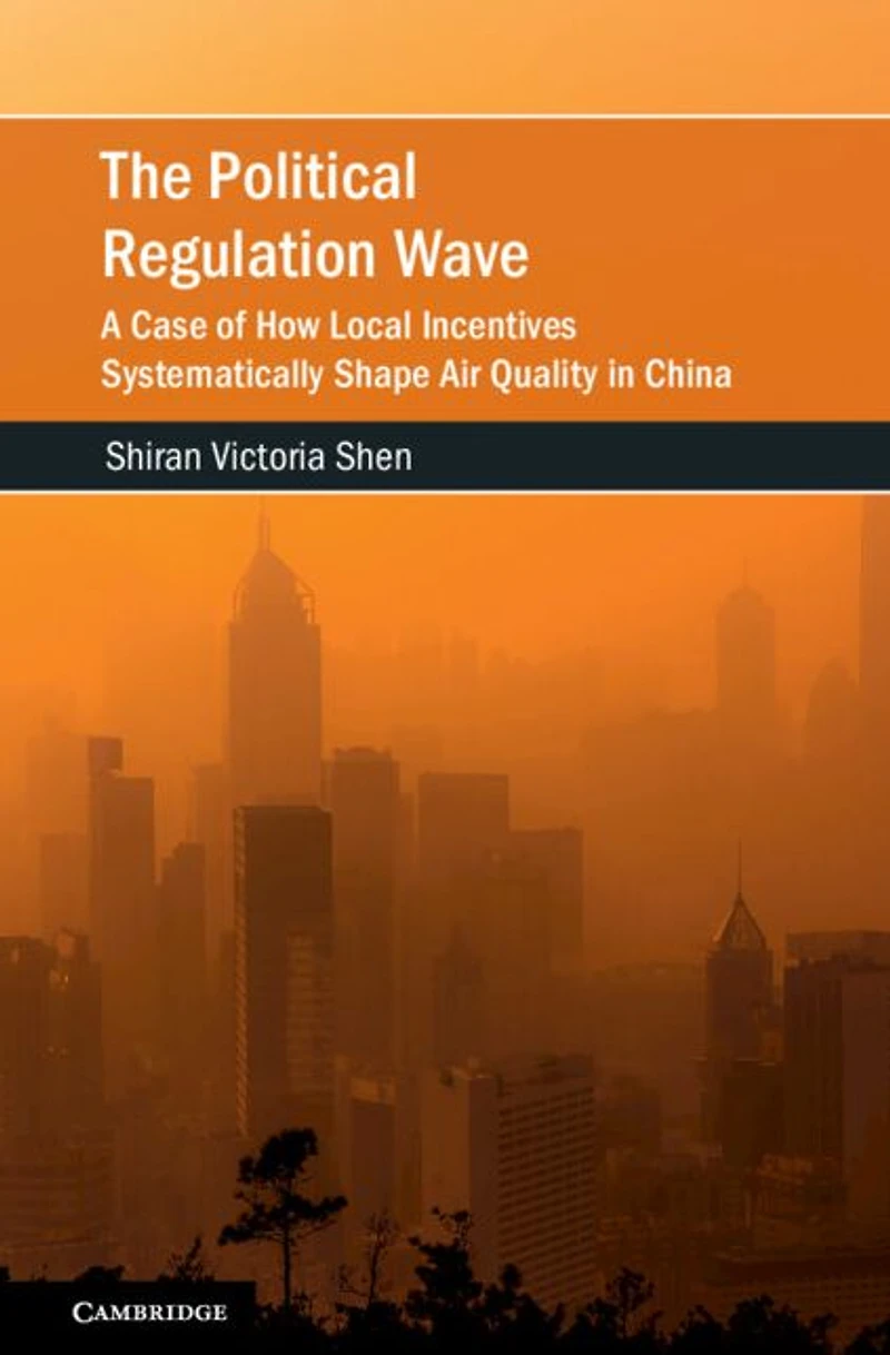 The Political Regulation Wave: A Case of How Local Incentives Systematically Shape Air Quality China