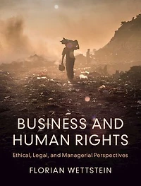 Business and Human Rights: Ethical, Legal, Managerial Perspectives