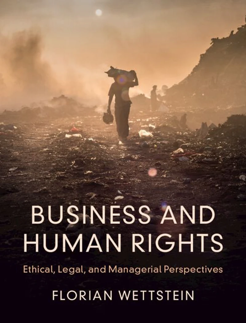 Business and Human Rights: Ethical, Legal, Managerial Perspectives