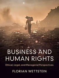 Business and Human Rights: Ethical, Legal, Managerial Perspectives