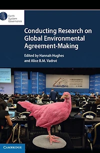 Conducting Research on Global Environmental Agreement-Making