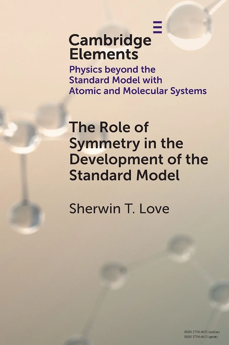 the Role of Symmetry Development Standard Model