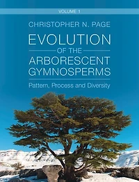 Evolution of the Arborescent Gymnosperms: Volume 1, Northern Hemisphere Focus: Pattern, Process and Diversity