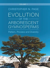 Evolution of the Arborescent Gymnosperms: Volume 1, Northern Hemisphere Focus: Pattern, Process and Diversity