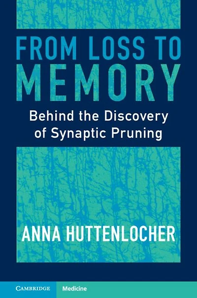 From Loss to Memory: Behind the Discovery of Synaptic Pruning