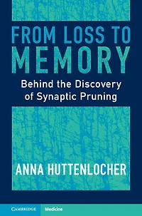 From Loss to Memory: Behind the Discovery of Synaptic Pruning