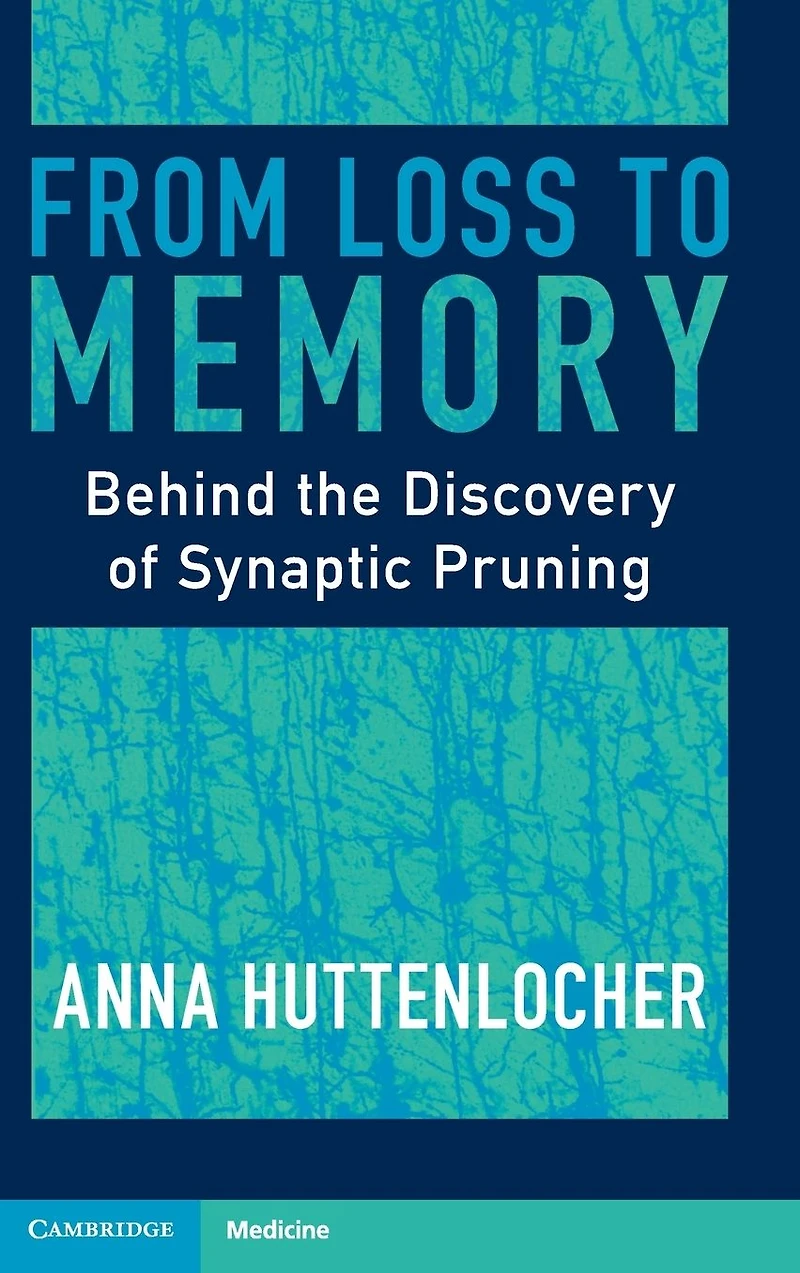 From Loss to Memory: Behind the Discovery of Synaptic Pruning
