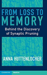 From Loss to Memory: Behind the Discovery of Synaptic Pruning