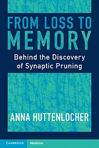 From Loss to Memory: Behind the Discovery of Synaptic Pruning