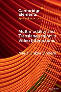 Multimodality and Translanguaging Video Interactions