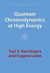 Quantum Chromodynamics at High Energy