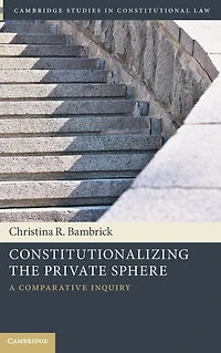 Constitutionalizing the Private Sphere: A Comparative Inquiry