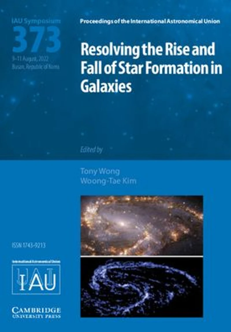 Resolving the Rise and Fall of Star Formation in Galaxies (IAU S373)
