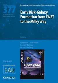 Early Disk-Galaxy Formation from JWST to the Milky Way (IAU S377)
