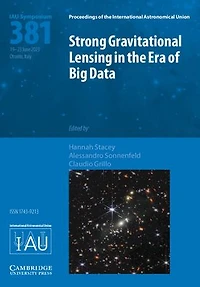 Strong Gravitational Lensing in the Era of Big Data (IAU S381)