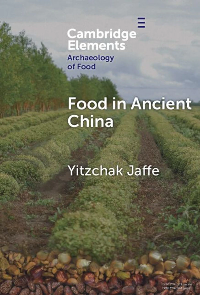 Food Ancient China