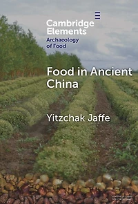 Food Ancient China