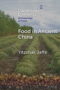 Food Ancient China