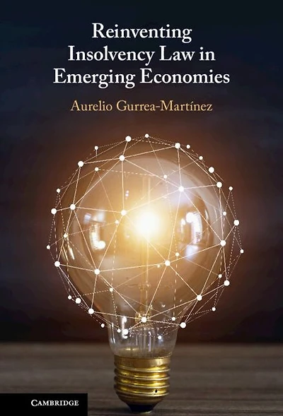 Reinventing Insolvency Law Emerging Economies