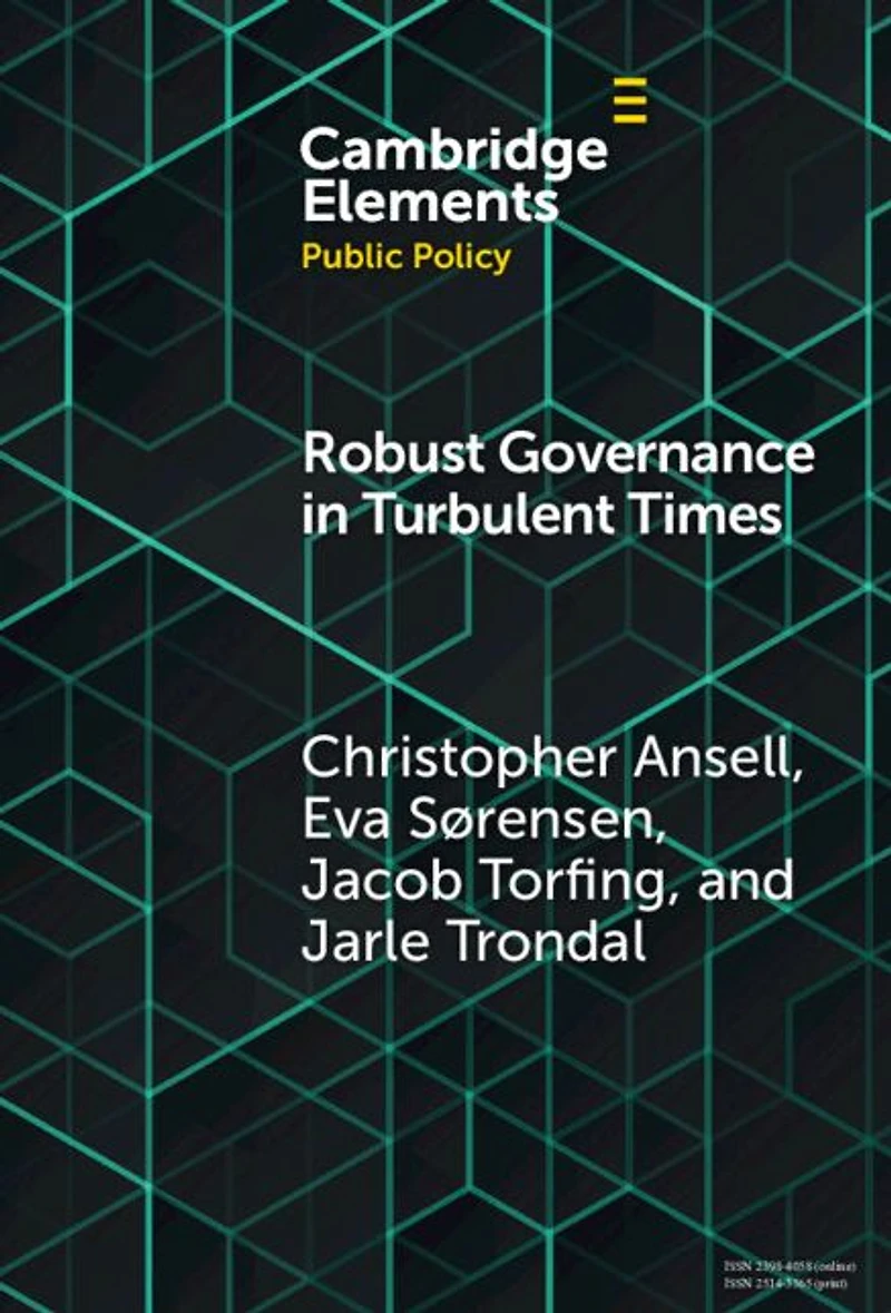 Robust Governance Turbulent Times