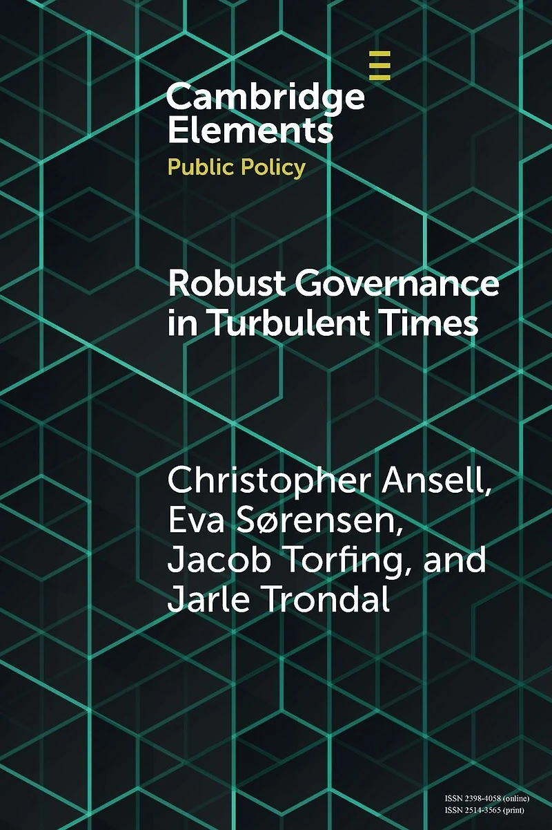Robust Governance Turbulent Times