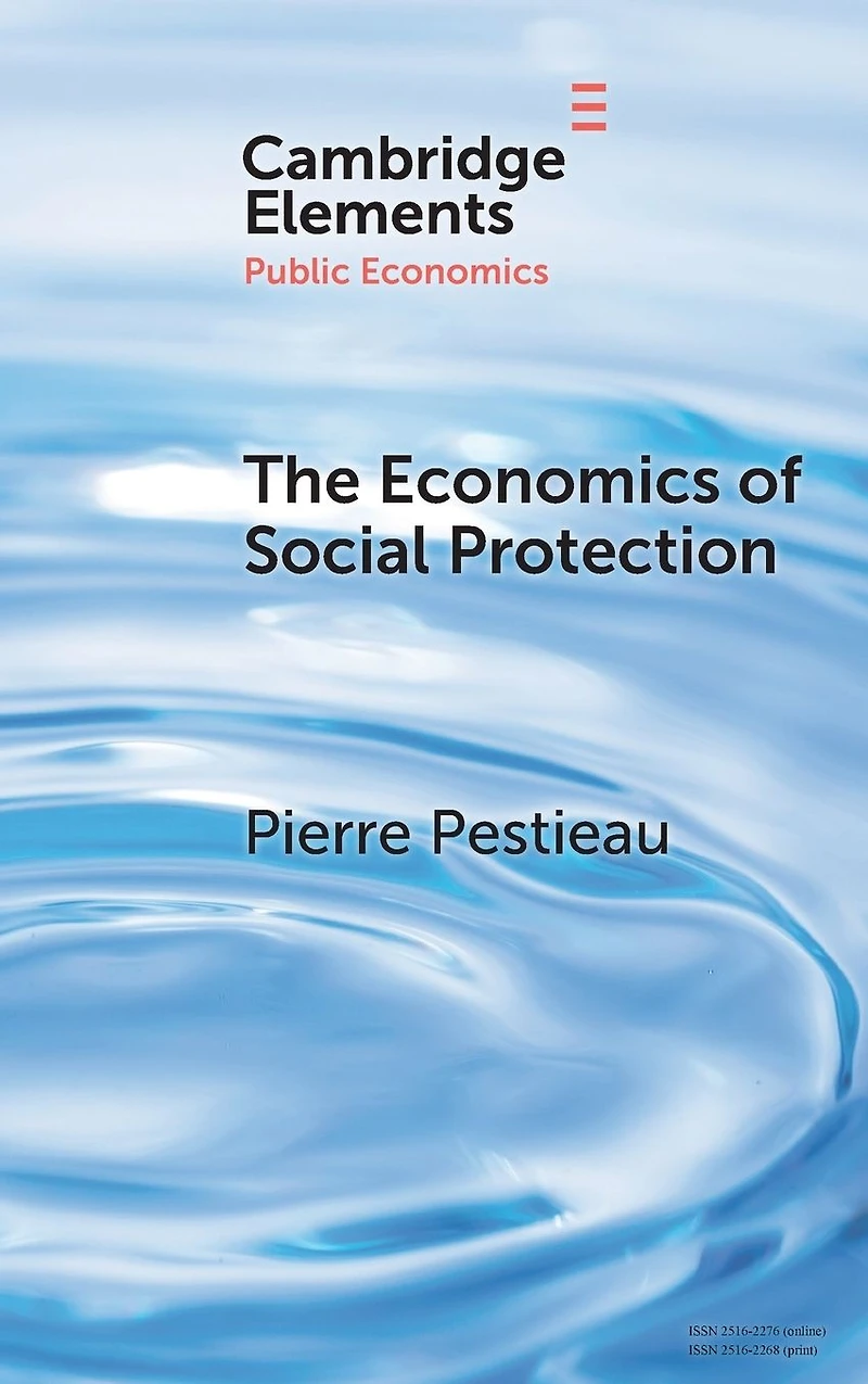 The Economics of Social Protection
