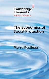 The Economics of Social Protection