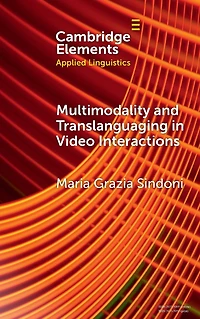 Multimodality and Translanguaging Video Interactions