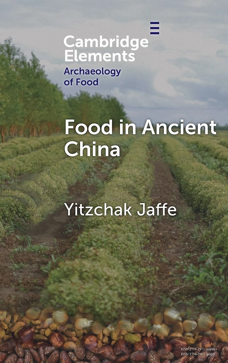 Food Ancient China