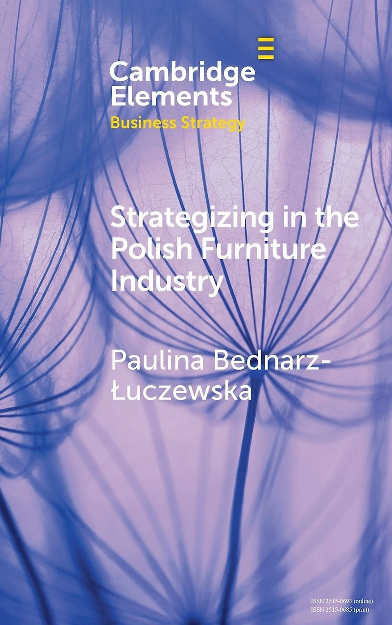 Strategizing the Polish Furniture Industry